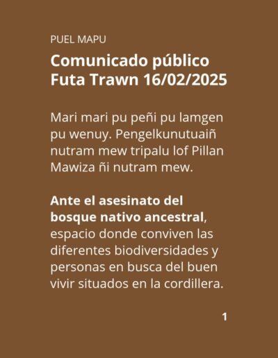 Primera Parte comunicado Futa trawn 16/02/2025